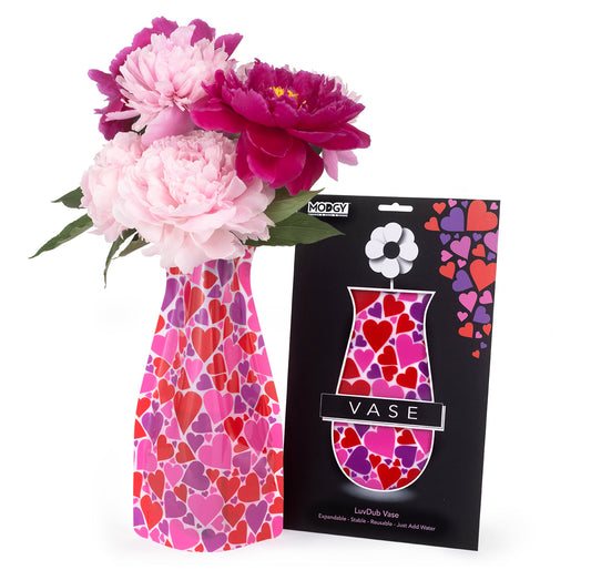 Modgy Expandable Vase - LuvDub Vase