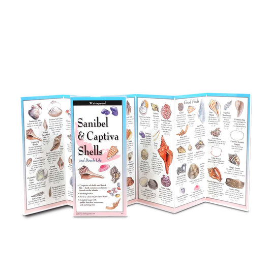 Sanibel & Captiva Shells and Beach Life Laminated Folding Guide