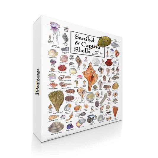 Shells of Sanibel & Captiva - 550 Piece Puzzle