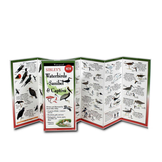 Sibley's Waterbirds of Sanibel & Captiva Laminated Folding Guide