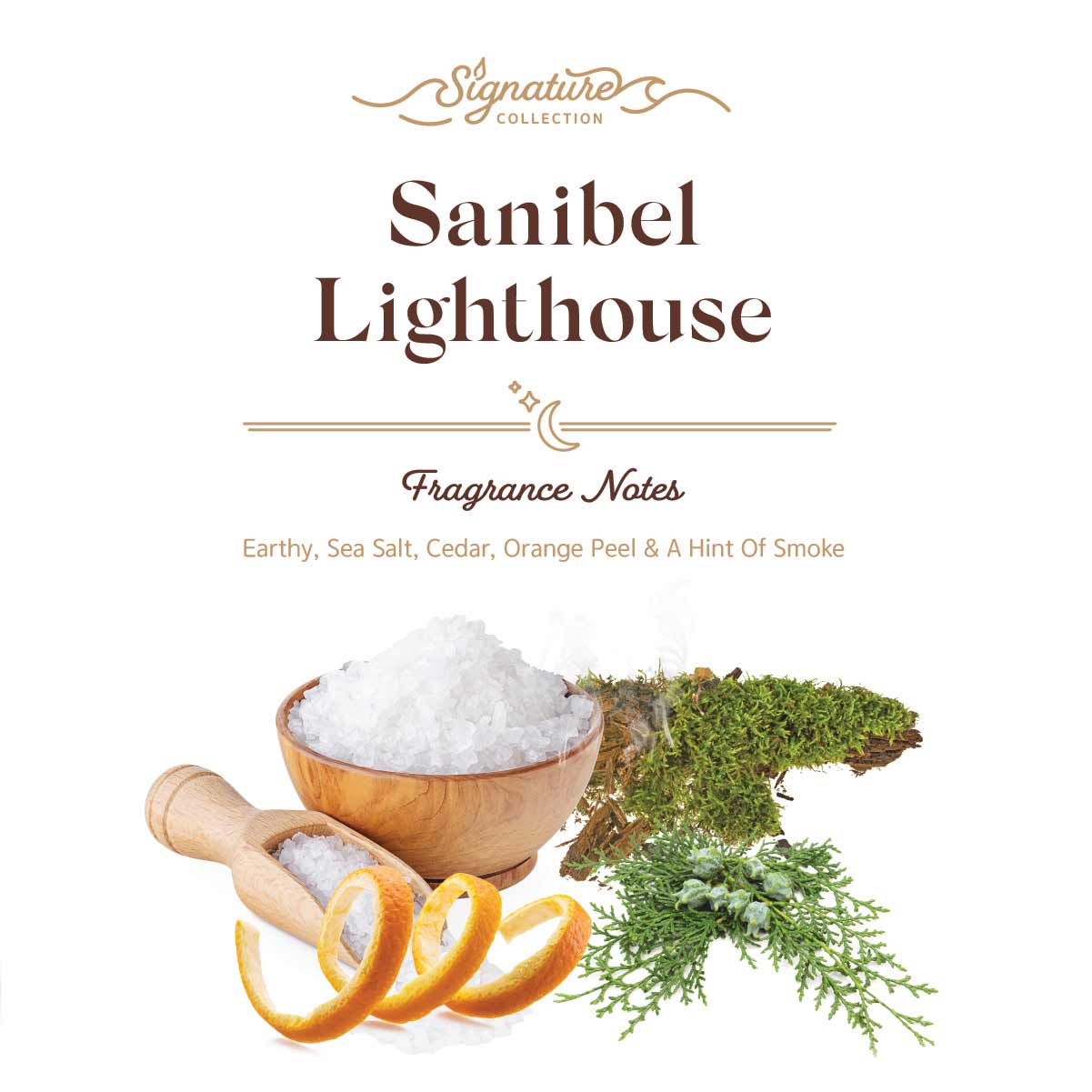 Sanibel Candle Company - Hanging Glass Diffuser Bottle